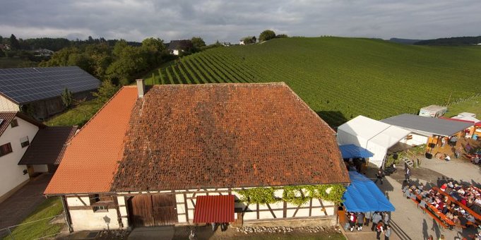 Weinfest Bermatingen